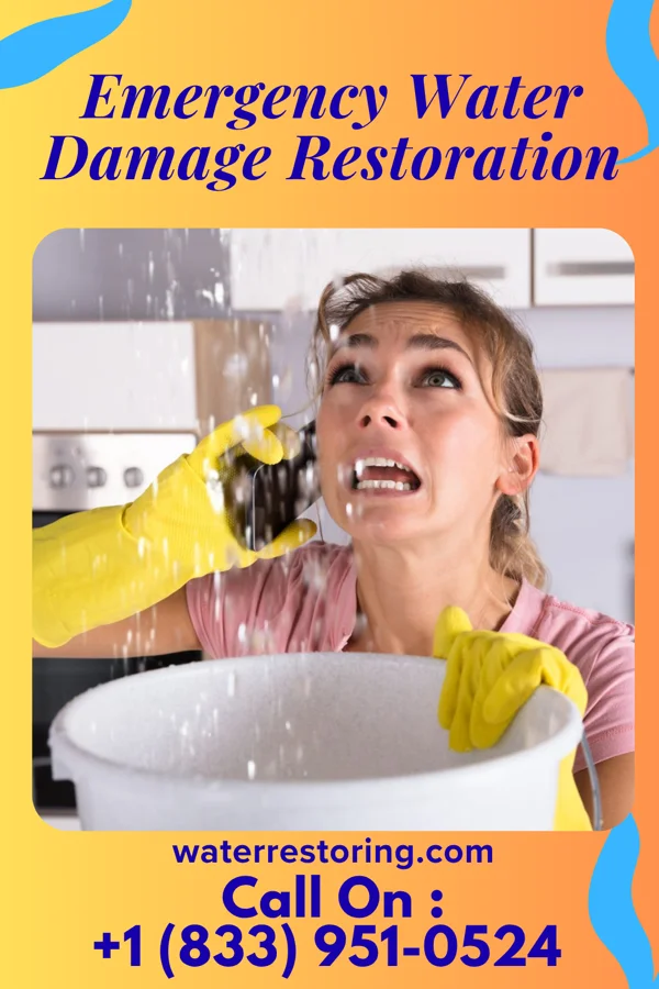 Emergency Water Damage Restoration in Torboy, WA