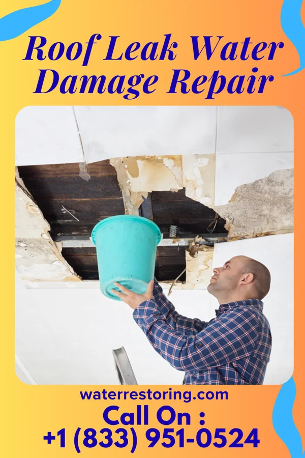 Roof Leak Water Damage Repair in Torboy, WA